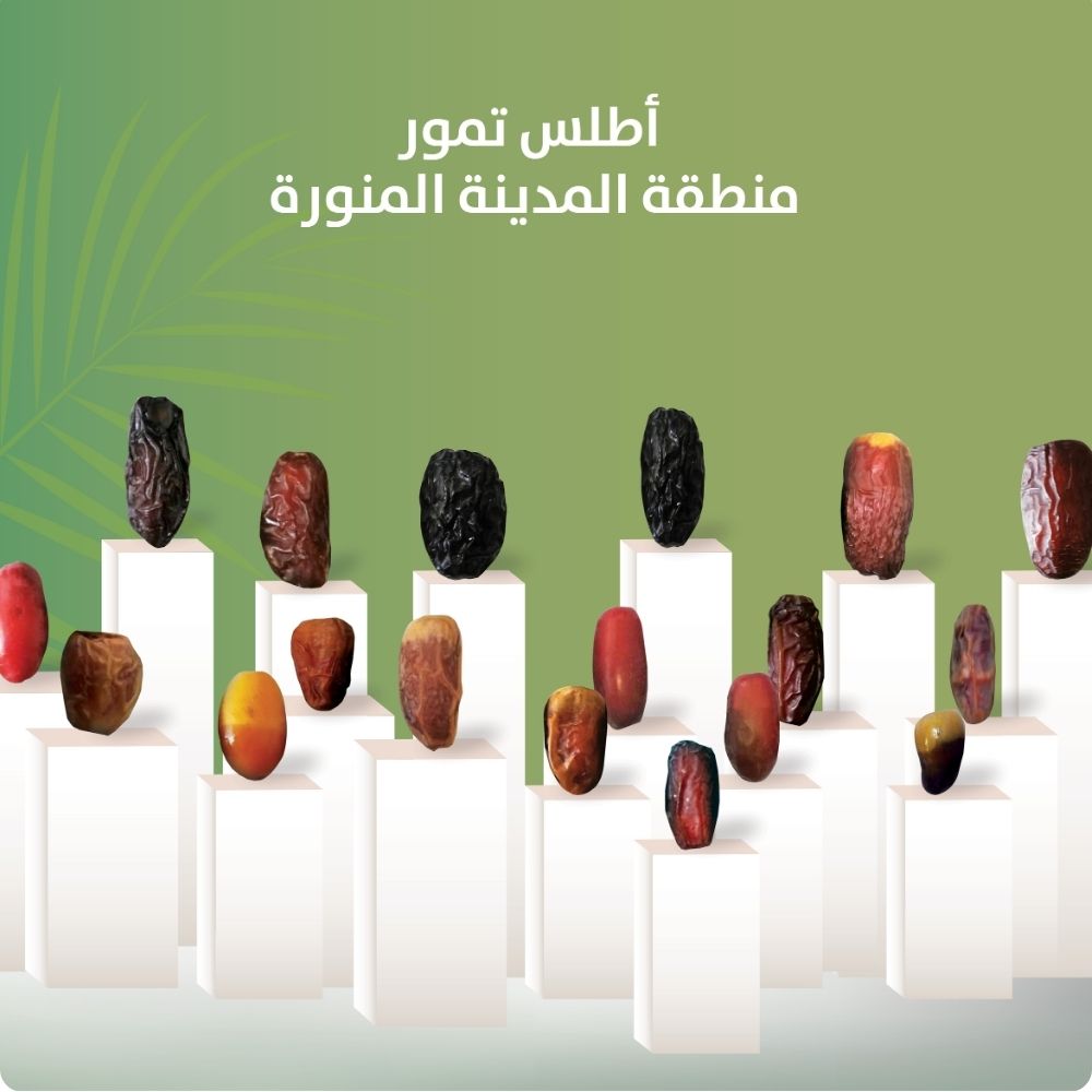 اطلس تمورنا